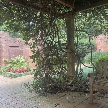Memorial Gardens Association - Gorgeous vines that wrap around this terrace area! Benches to rest in some shade. - Concord, North Carolina
