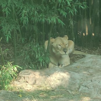 Birmingham Zoo - Zoos Near Me - Birmingham, Alabama Birmingham Zoo - Zoos Near Me - Birmingham, Alabama