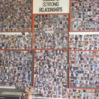 The Home Depot - Doggie Wall of Fame - Hardware Stores Near Me - Key West, Florida The Home Depot - Doggie Wall of Fame - Hardware Stores Near Me - Key West, Florida