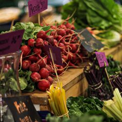 Greensboro Farmers Curb Market