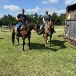 Rebel Ranch Horse Tours