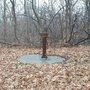 Photo of Forest Glen Park