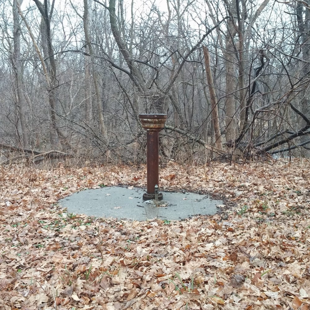 Forest Glen Park Logo