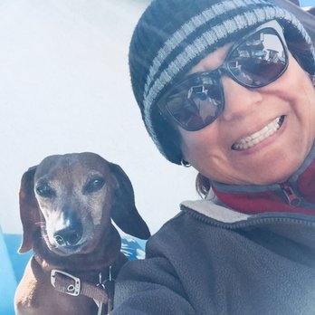 Lovable Pet Sitter - Chilling on the courtyard. - Dog Walkers Near Me - Santa Clara, California Lovable Pet Sitter - Chilling on the courtyard. - Dog Walkers Near Me - Santa Clara, California