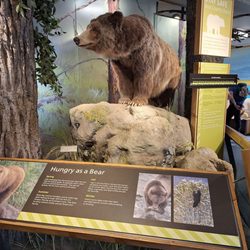 Albright Visitor Center and Museum