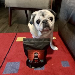 Kactus Kush CBD - Chandler - Their CBD dog treats are definitely Pug approved!!!