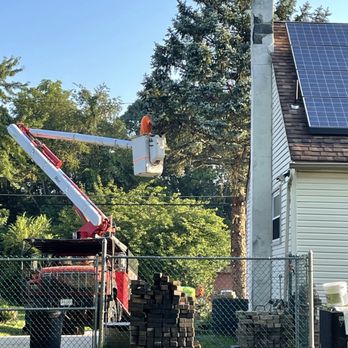 Davis Tree Work - Tree Services Near Me - Blackwood, New Jersey Davis Tree Work - Tree Services Near Me - Blackwood, New Jersey