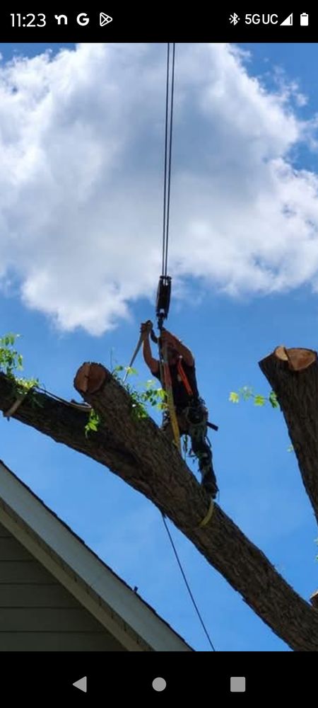 CTS Tree Services - tree service in Huntsville, AL