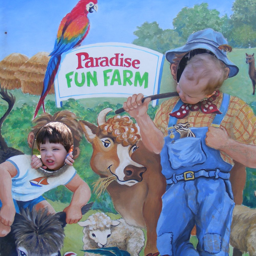 Paradise Park - Zoos Near Me - Hayle, CON Paradise Park - Zoos Near Me - Hayle, CON