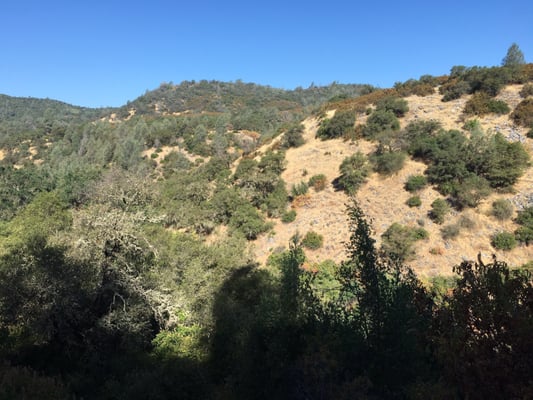 Columbia Kate's Bakery by null