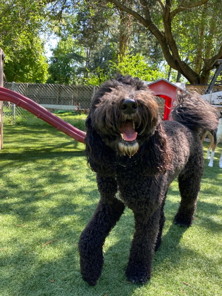 MING’S PLACE Updated October 2024 34 Photos & 12 Reviews