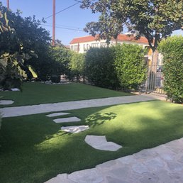 New yard. New yard.