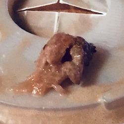 Braums Ice Cream And Dairy Store - Don't know found in the bottom of my shake.