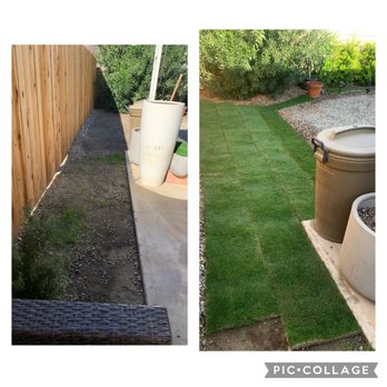 West Coast Turf - Look how beautiful the quality it. - Landscaping Near Me - Palm Desert, California West Coast Turf - Look how beautiful the quality it. - Landscaping Near Me - Palm Desert, California