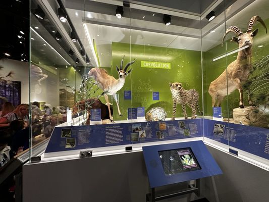 Perot Museum of Nature and Science by null