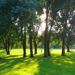 Parc du Lion