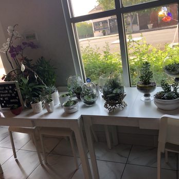 TeaZenTea Fremont - Live plants at front & all around - Bubble Tea Near Me - Fremont, California