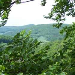 Wildpark Hundshaupten