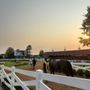 Canterbury Park