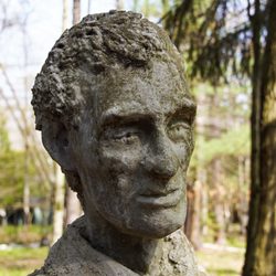 James Tellen's Woodland Sculpture Garden - Young Lincoln