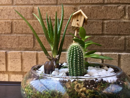 Ephemera - Plants, Terrariums and Comics by null