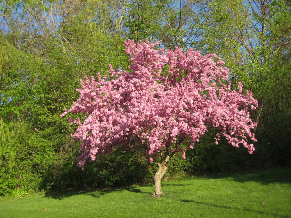 PARK HILL LANE 16 Photos 7 Park Ln E, Menands, NY Yelp