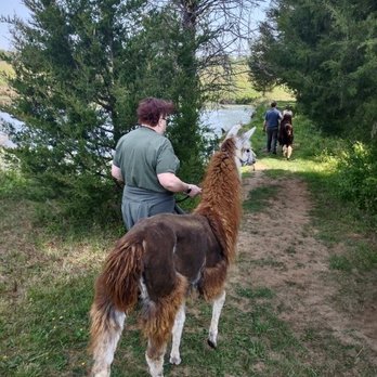 Lower Sherwood Farm - Llama Walk with Lottie - Attraction Farms Near Me - Charlottesville, Virginia Lower Sherwood Farm - Llama Walk with Lottie - Attraction Farms Near Me - Charlottesville, Virginia