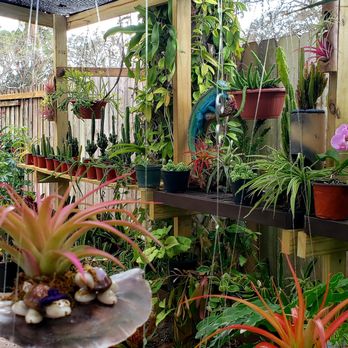 Airplantation - Nurseries & Gardening Near Me - Sarasota, Florida