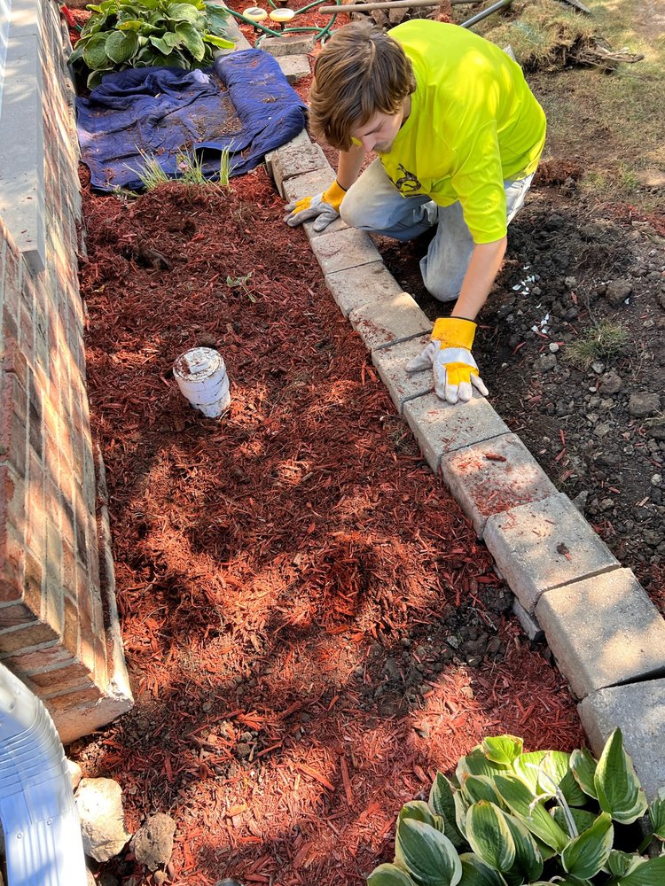 Slide of T. Dotson's Drains