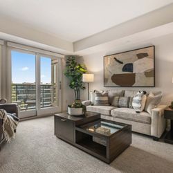 Avocet Playa Vista