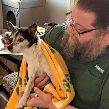 KC In Home Pet Euthanasia - Veterinarians Near Me - Goodyear, Arizona