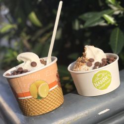 Nadine's Frozen Yogurt