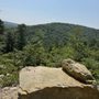 Photo of Kings Gap State Park