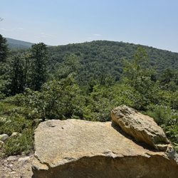 Kings Gap State Park - Lookout from black gum trail