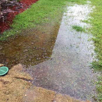 Elite Coastal Landscaping LLC - non draining drain that was installed and scraps of dead sod. - Landscaping Near Me - Little River, South Carolina Elite Coastal Landscaping LLC - non draining drain that was installed and scraps of dead sod. - Landscaping Near Me - Little River, South Carolina