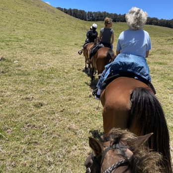 Paniolo Adventures - Horseback Riding Near Me Paniolo Adventures - Horseback Riding Near Me