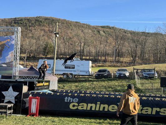 Heaven Hill Farm Garden Center and Farm Market by null