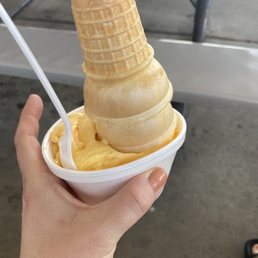 Lemon Custard