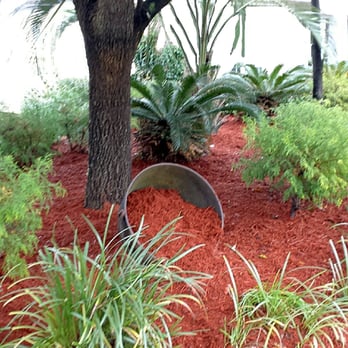 Landscaping by Marcy - The Bed was cleaned up and re Mulched - Landscaping Near Me - Conway, South Carolina Landscaping by Marcy - The Bed was cleaned up and re Mulched - Landscaping Near Me - Conway, South Carolina