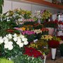 Photo of Bert's Blumen e.K.