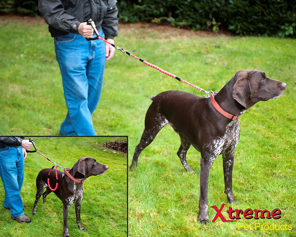 XTREME PET PRODUCTS Updated September 2024 200 S Tobin St, Renton