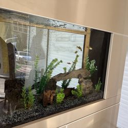 Fish Tank