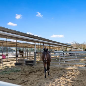 Deer Springs Equestrian - Deer Springs Equestrian - 24' x 24' Pipe Stalls - Horse Boarding Near Me - San Marcos, California Deer Springs Equestrian - Deer Springs Equestrian - 24' x 24' Pipe Stalls - Horse Boarding Near Me - San Marcos, California
