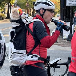 Old Town Alexandria - Yes! Both the dog and human are real.
