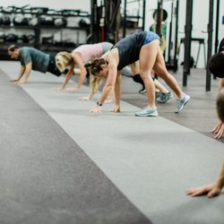 Live Free Health & Fitness