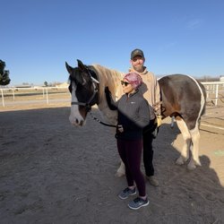 Armstrong Equine Services