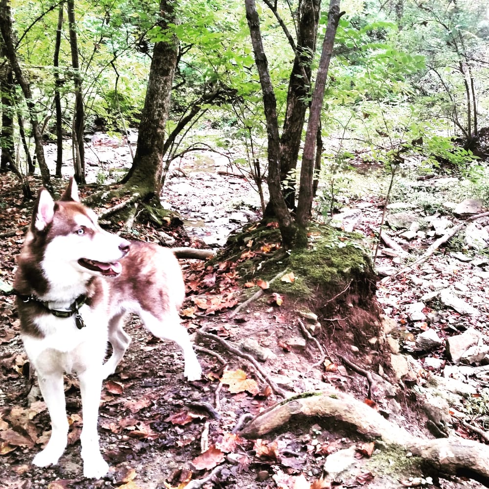 REDBIRD HOLLOW PRESERVE Updated September 2024 13 Photos 5963