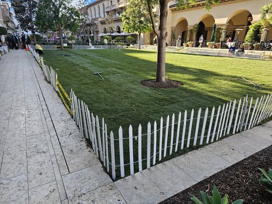 Landscape renovations - Installed Sod Landscape renovations - Installed Sod