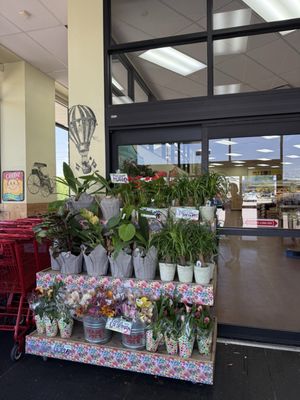 Trader Joe's by null