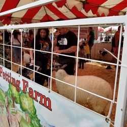 New Mexico State Fair - Petting farm
